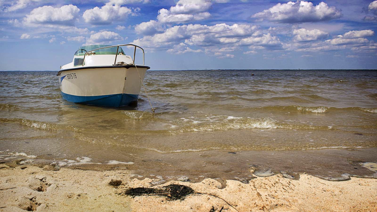 Les Photos de Stéphane Balade en bateau sur la plage du Teich
